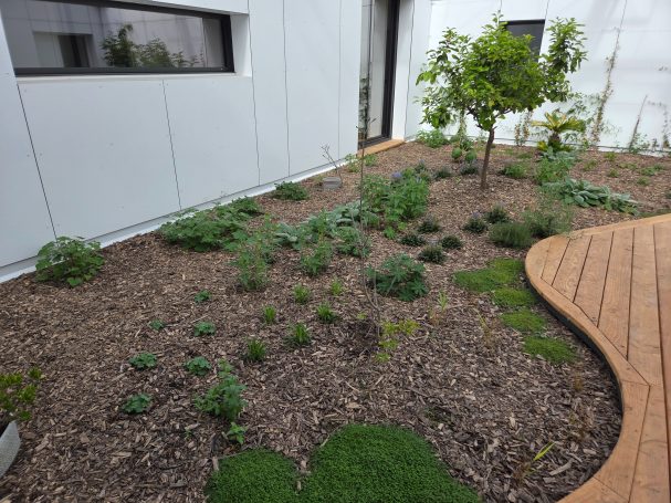 Parterre